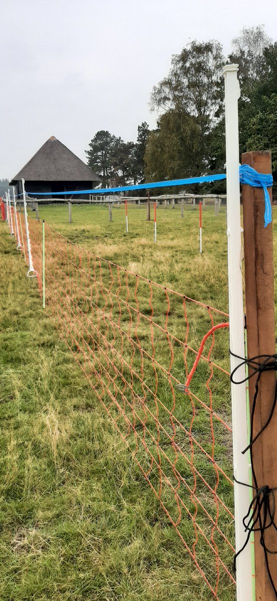 Informatiedag ism <a href="/fencing_wolf/">Wolf-Fencing Nederland</a> en wolvencommissie Gelderland over wolfwerende maatregelen!