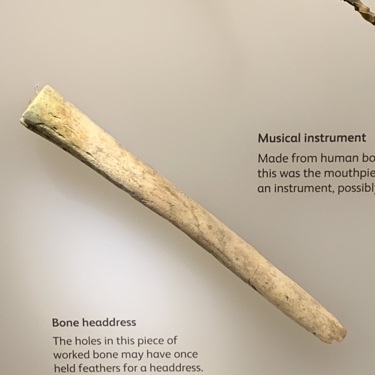 Trumpet made from a human bone. The person whose bone it was made from seems to have been contemporaneous with the man the musical instrument was then buried with.