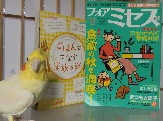 フォアミセス11月号届いた!3D背景馴染んでて安心した～表紙デザイン、銅のコトリチャンとベストマッチじゃないですか?紙・電書ともに発売中なので読んでみてね。「ひとり部屋のカギあずけます〜すてきな第一発見者」次回第3話は1月号に掲載予定です。お楽しみに! https://t.co/h1rvMWouAe 