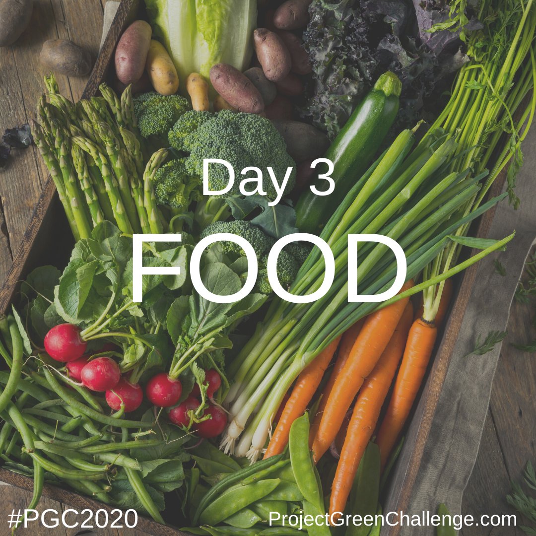 TurningGreenOrg's tweet image. Day 3 of #ProjectGreenChallenge is all about FOOD. Learn about sustainable food, farming &amp;amp; agriculture and why Fresh, Local, Organic, Seasonal, Nutritious (FLOSN) food is the way to go! Thank you to today&apos;s partners @thrivemarket @organiccenter and @friends_earth #PGC2020