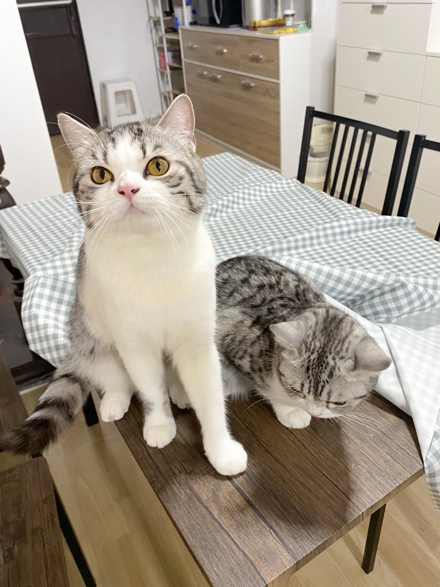 เกียมกระเป๋าจะพา2แสบไปหาหมอ หันมาอีกที....... 
ม่อน : เจ้บอกแล้วว่ามังมะเนียน อุนยายเจอแระ เซ็งเยยย