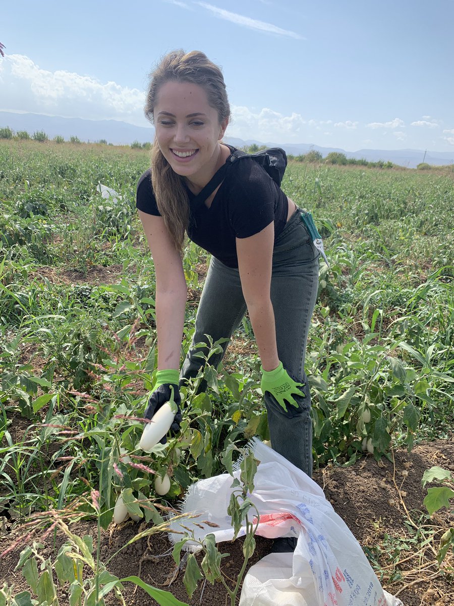 RaffiElliott's tweet image. With so many on the front lines #Armenia |n #techworkers are giving. Distinctly analogue helping hand to the #war effort #NKpeace #ArtsakhStrong #technews
