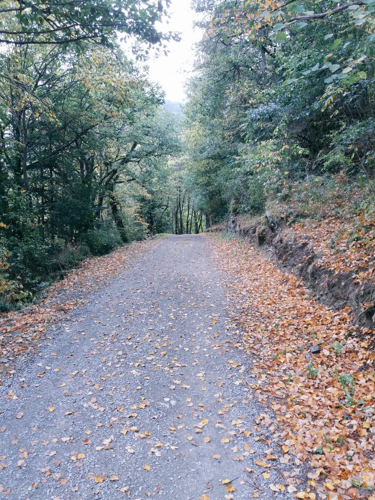 Monitors/es gràcies al vostre treball incansable i responsabilitat heu fet possible un estiu diferent, ple d'aventures i aprenentatges.

Iniciem ara un nou curs! Un camí, ple de reptes que superarem al servei dels infants i joves💪 #AraMesQueMaiESPLAI Tornem-hi!🎉 <a href="/esplaisMCECC/">Moviment de Centres d'Esplai Cristians Catalans</a>