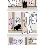 尊すぎる…wなにが何でも飼い主さんと一緒に寝たい猫 !