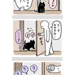 尊すぎる…wなにが何でも飼い主さんと一緒に寝たい猫 !