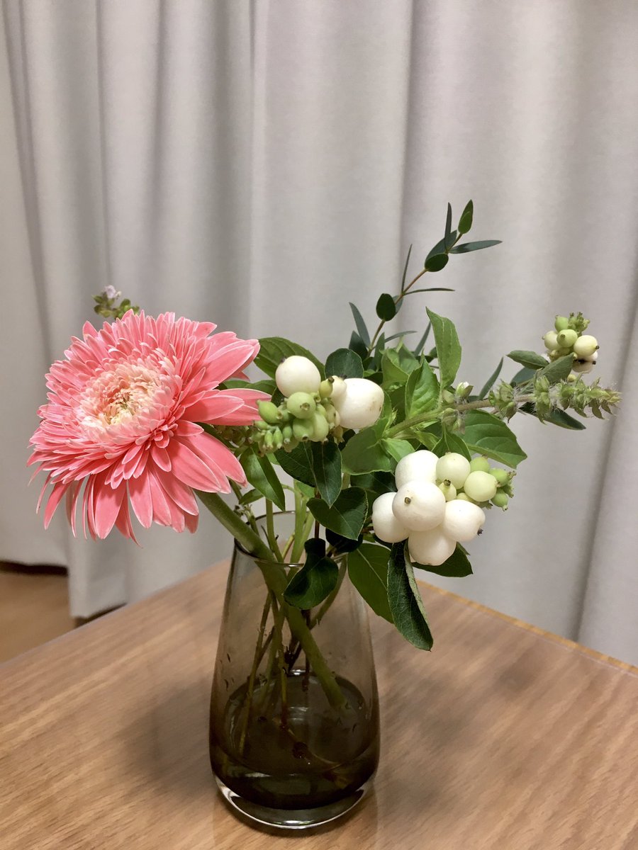 Taepon 夫が買ってきてくれた植物の名前 が気になって母にダメ元で尋ねてみたら シンホリカルポスじゃない って即レスが来てびっくりしてる 植物の名前が即答できるってかっこいいな Taepon 夫が買ってきてくれた植物の名前 が気になって母にダメ元で尋ねてみたら シンホリカルポスじゃない って即レスが来てびっくりしてる 植物の名前が即答できるってかっこいいな