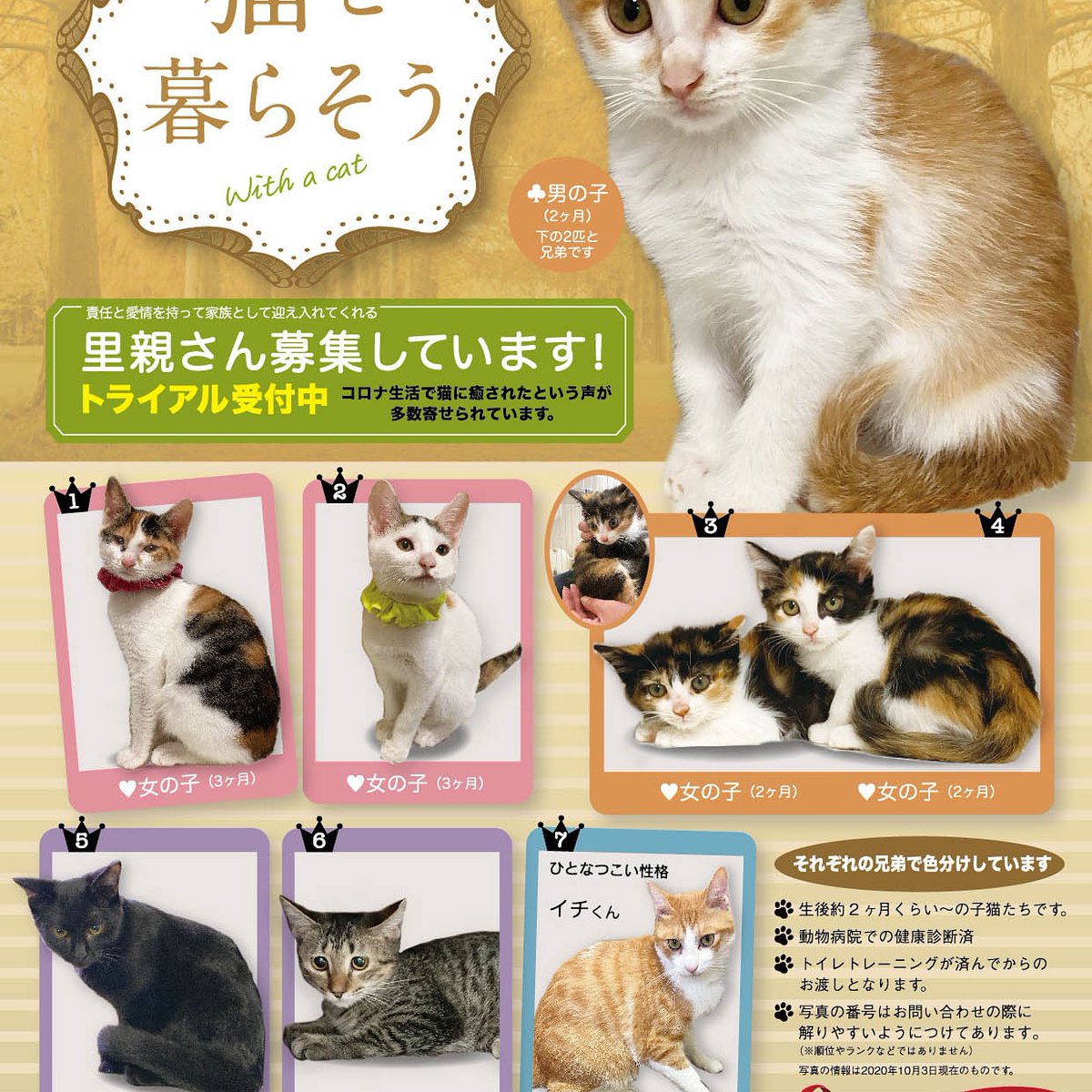 ひじきママ Dpalp70khnovhg5 Twitter