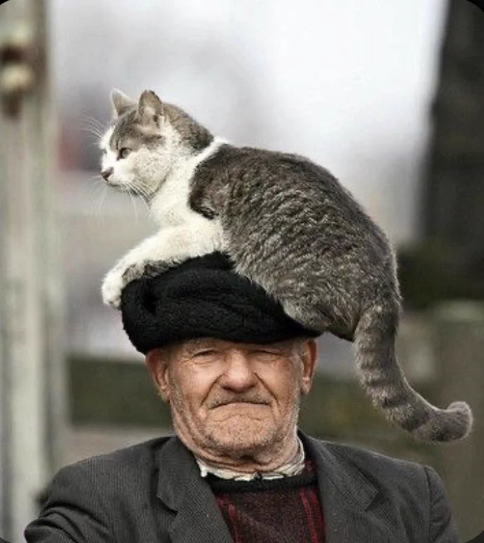 手軽に幸福になるには？「おじいさん　猫」で画像検索してみて！