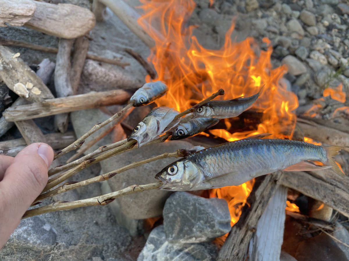 おろちんゆー 釣った魚を焚き火でいただく T Co Yj0hugzz91 Youtubeより おろちんゆー 釣った魚を焚き火でいただく T Co Yj0hugzz91 Youtubeより