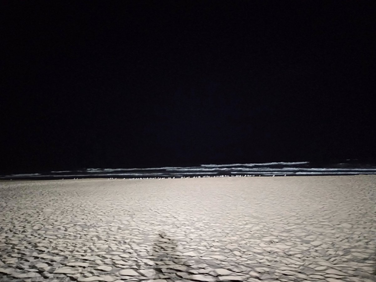 NurhastutyK's tweet photo. Hello Surfers Paradise :) long time no see :) #lovelyweekend #midsemesterbreak #alhamdulillahfortoday https://t.co/iEQL6d9DuF