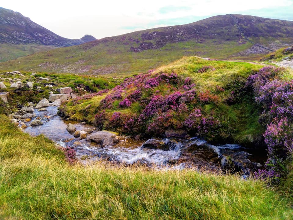 Beautiful Mourne Mountains, Co  #Down, N  #Ireland. Mournes are made up of 12 mountains with 15 peaks & include the famous Mourne wall (keeps sheep & cattle out of reservoir)! Area of Outstanding Natural Beauty. Partly  @NationalTrustNI. ©Daniel Mcevoy (with lovely cats!)  #caturday