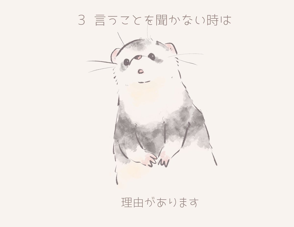 amnon43's tweet photo. フェレットの十戒  1〜4 https://t.co/fcqA6VLfzz
