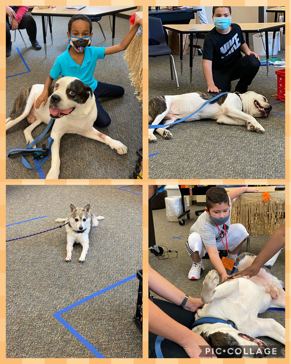 We love our weekly lessons with @PawSuccess 🐾 @ZwinkKISD #togetherwedazzle