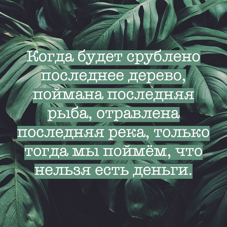 Сколько ещё останется деревьев на планете Земля