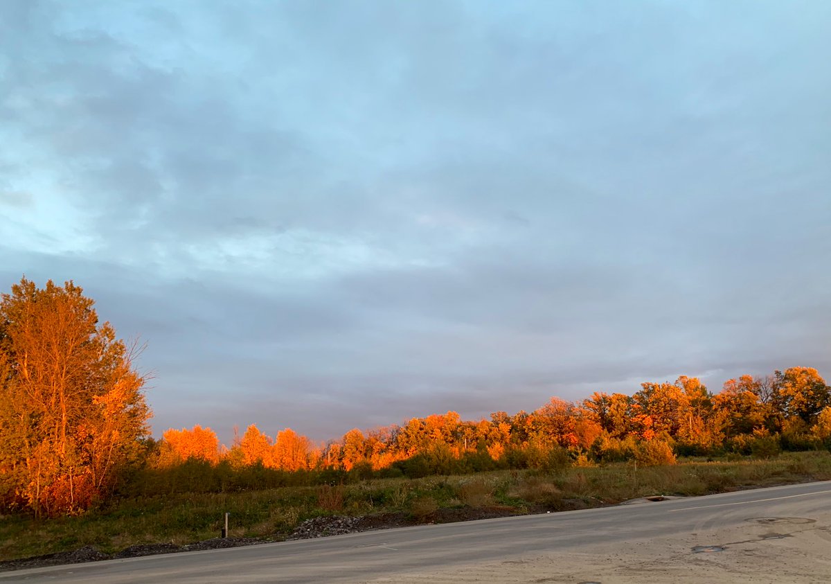 MichelleKisil's tweet photo. Yesterday’s lighting and sky was a great way to end the week! #constantlychanging #colourful #staysafe https://t.co/v7kx0PLObt