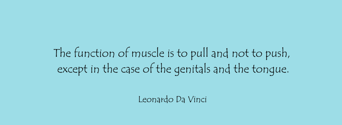 The function of muscle is to pull and not to push, except in the case of the genitals and the tongue.

#leonardodavinci #leonardodavinciquote #leonardodavinciquotes