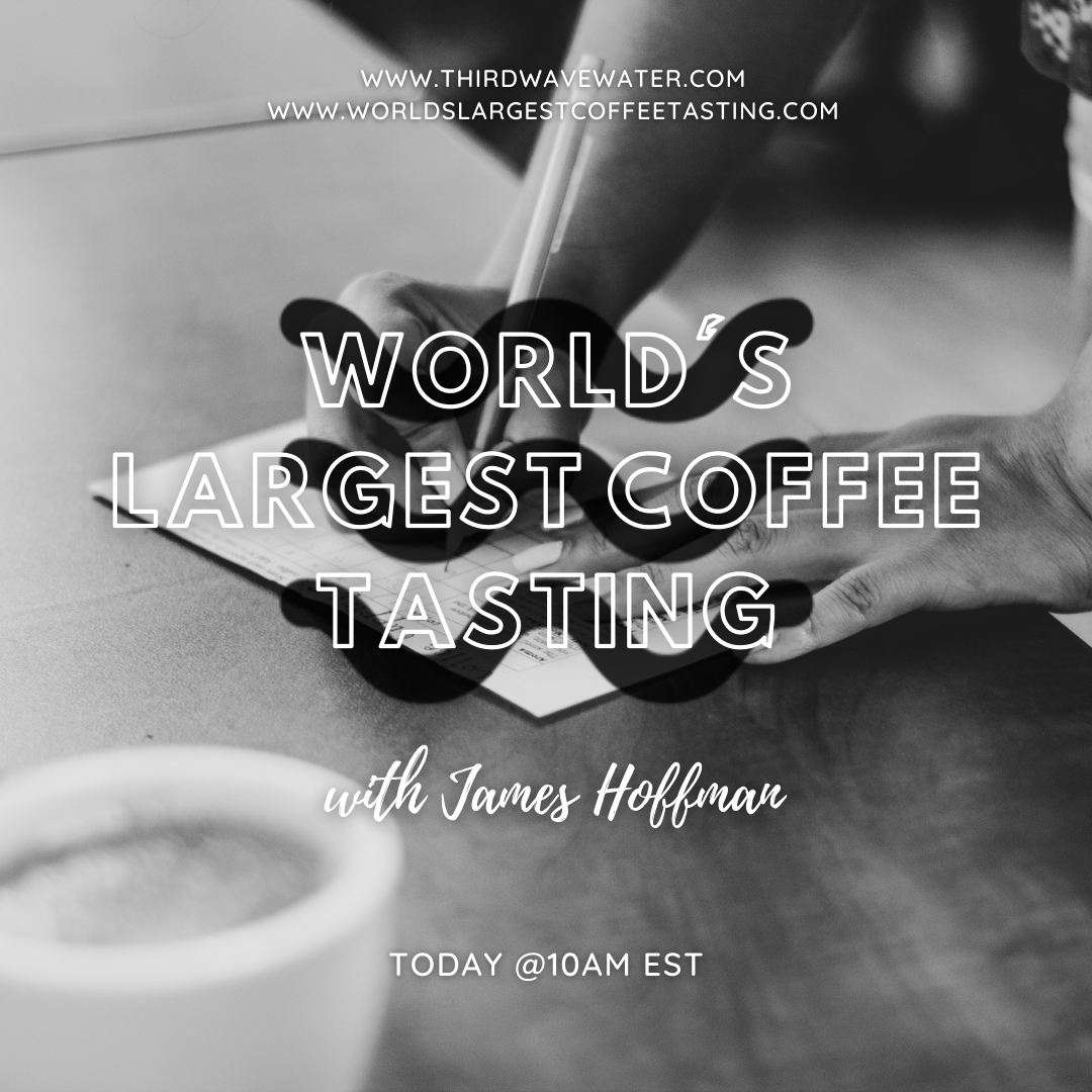 thirdwavewater's tweet photo. Today is the day! The World's Largest Coffee Tasting starts at 10am EST! Let us know if you'll be tuning in as well!
#thirdwavewater #waterforcoffee #jameshoffman #coffeeevent #cuppingevent #coffeecupping #wlct #coffeetasting #worldslargestcoffeetasting https://t.co/vXFVVr1ENO