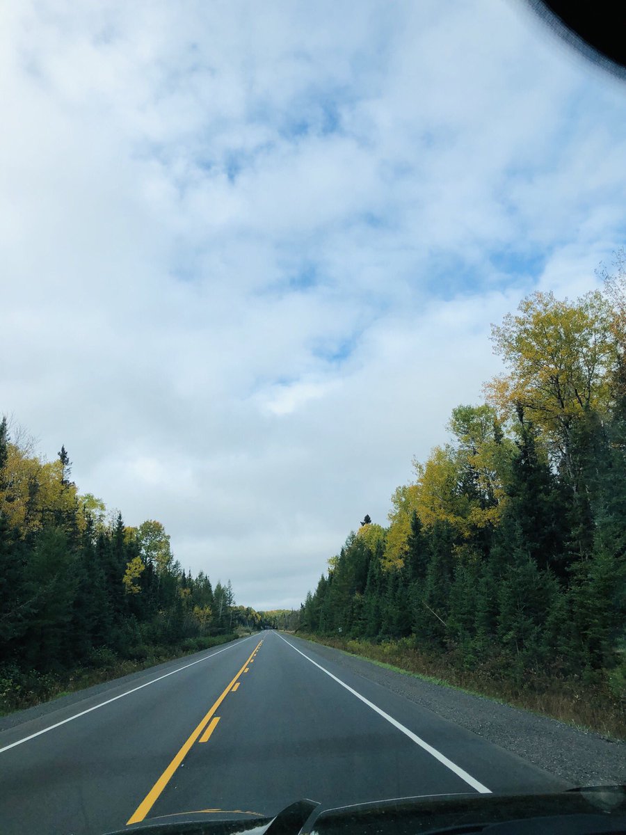 cdtellier's tweet image. This must be what ants see when crawling through canola fields. 

Yes, the coffee is strong this morning. ☕️ #goodmorning #falldrive