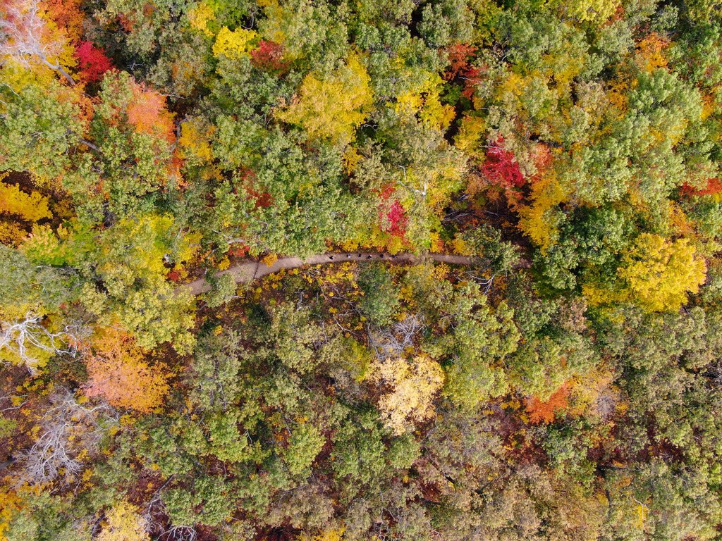 UM_MVFT's tweet photo. @ParkerTrombley got some great drone shots of the team while we enjoyed a hike and some team bonding today! https://t.co/Q0ffpF07n1