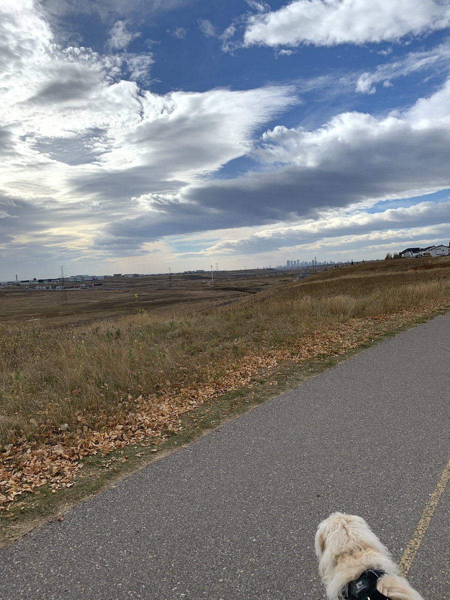 YuleLoveYYC's tweet photo. In case the world doesn’t know... Calgary is having an amazing Fall. The 18 degree walk this morning was filled with the sights, sounds, and smells of an on point Fall. #yyc #yycweather #yycFall #BeautyInCoventryHills #Calgary #Fall https://t.co/9u6svx3G55