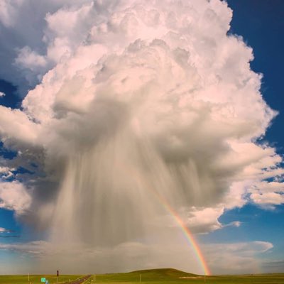 Runner20301's tweet photo. #NewProfilePic https://t.co/h62qdTzuUx
