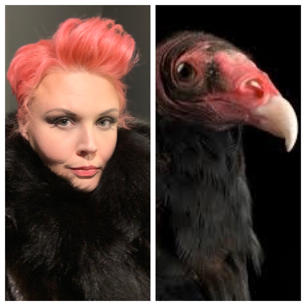 Angela Mayfield tweet media