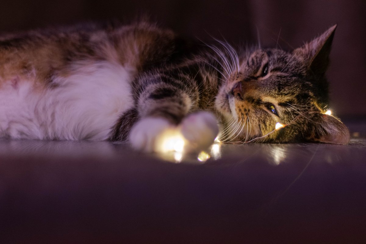 Media Hub tweet media