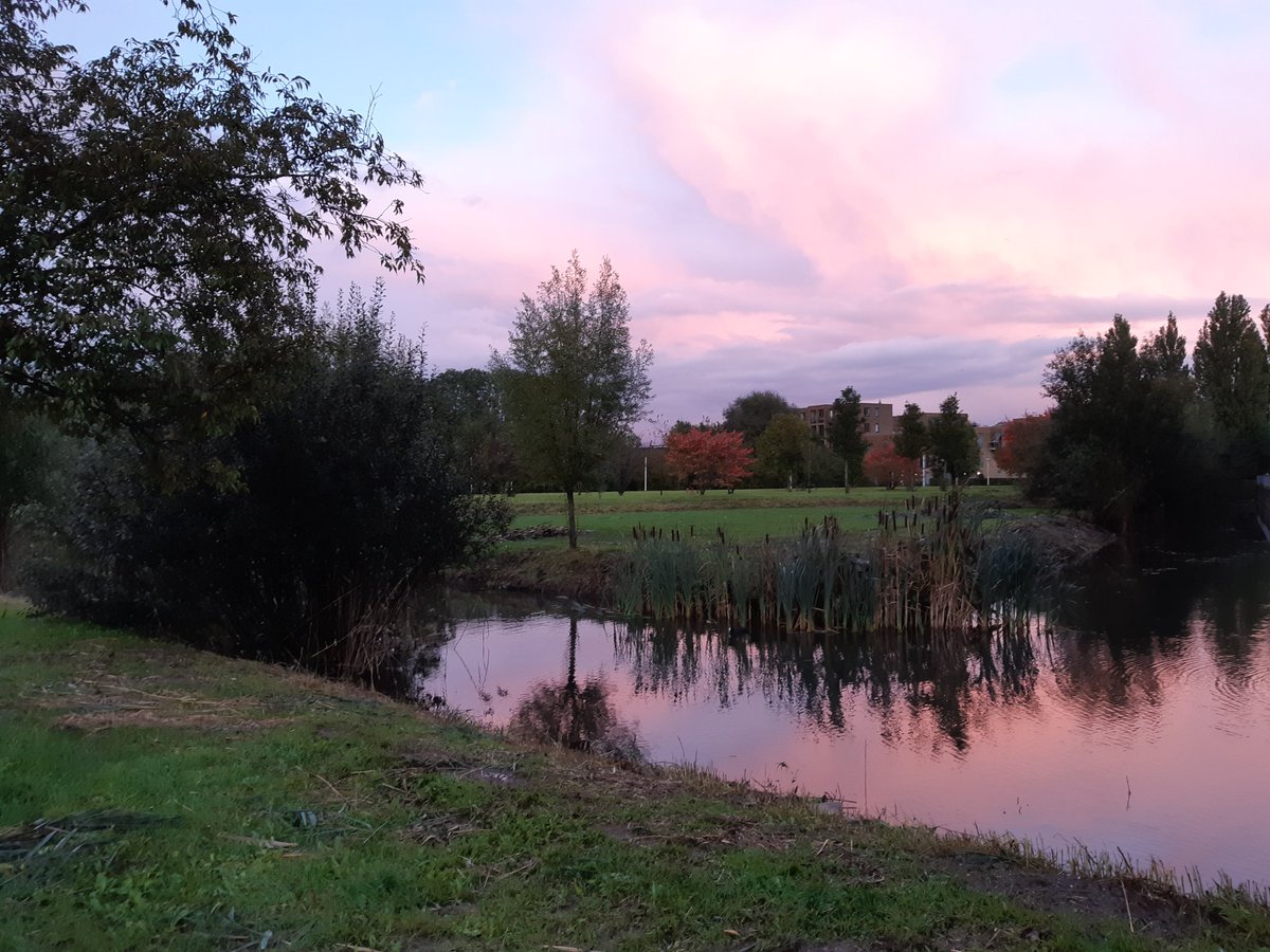 nicolleness's tweet photo. Post-conference Utrecht walk (contemplating fan agency in the twilight ๐ค) Enjoy your weekend! #comfor2020 https://t.co/xtjcv9OggK