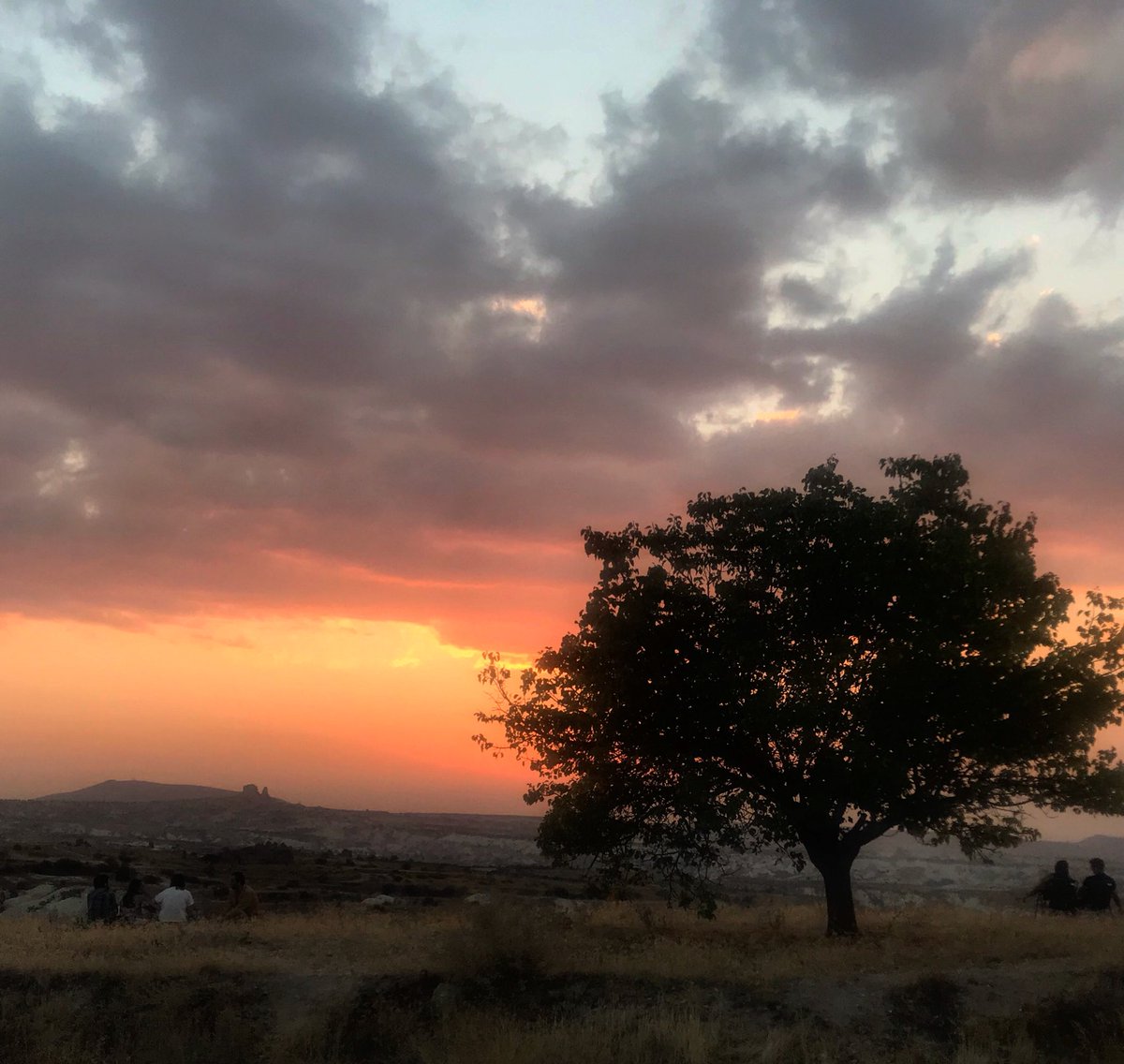 Her yolculuk yeni bir heyecan🌻