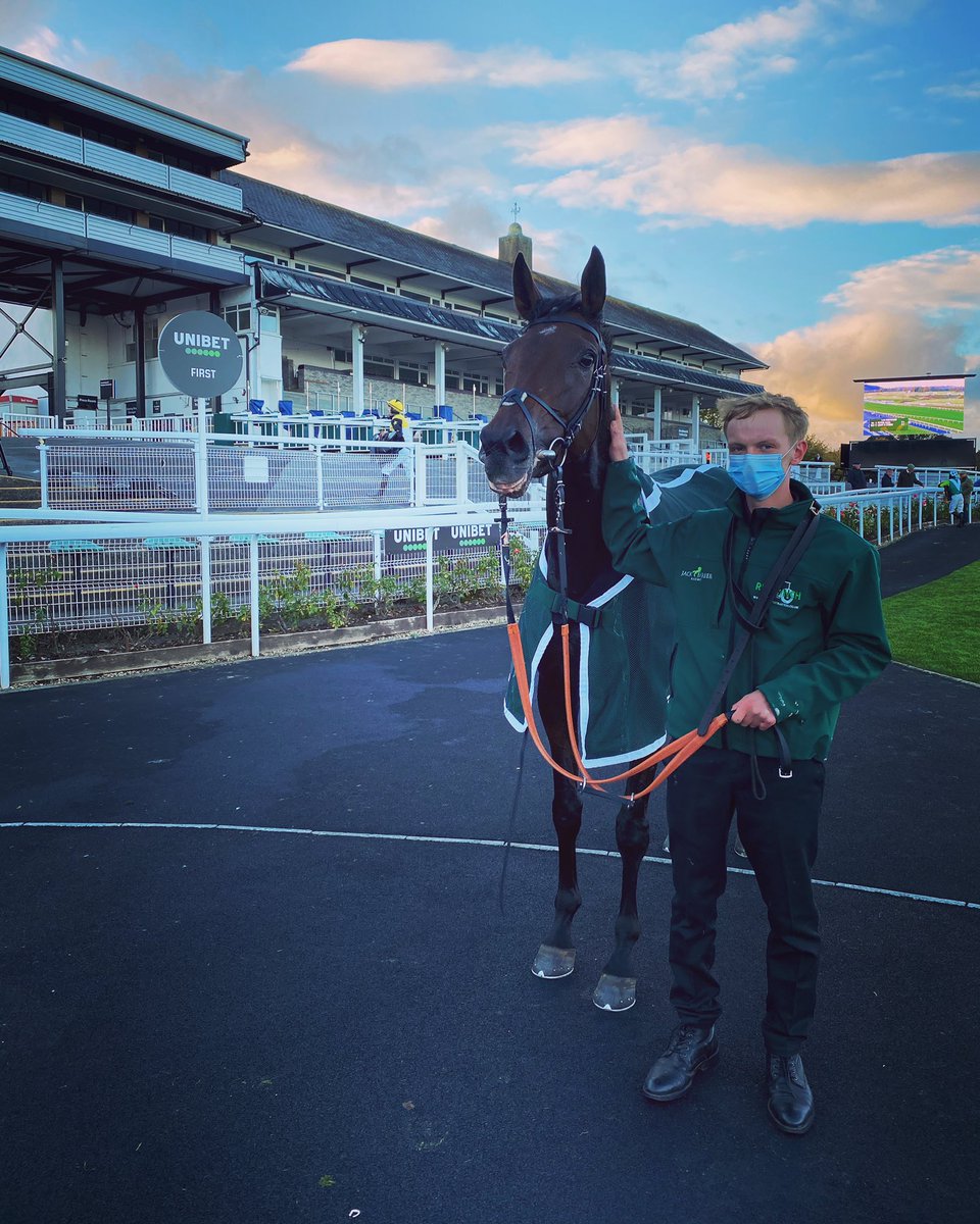 ⭐️WINNER!⭐️
Another impressive win by Flying Sara under a penalty! Congratulations to winning owners the Peckmoor Flyers and the team!