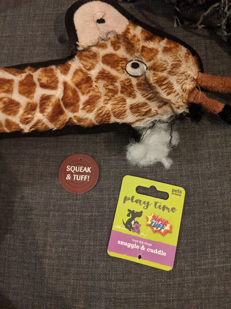 CptHarrold's tweet photo. @PetsatHome we bought this super tough Giraffe from one of your stores today and our 8 month old staffie Jude destroyed it in under 30 mins, turns out it isn't so super tough after all ☹️. Any suggestions for a stronger solution? https://t.co/Ncj24CnLZy