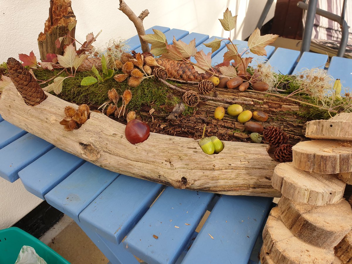 WishDreamHope1's tweet photo. Another day out foraging #naturalresources #EYFS #education #teacher #littleexplorers #curiosity https://t.co/CF51B8V4wL