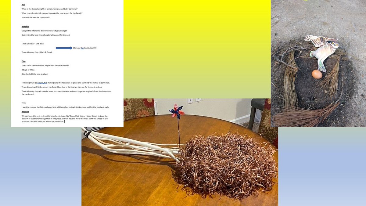 oce_stem's tweet photo. During this 2 weeks of asynchronous outclass learning, students were challenged with "Choice Boards". They had 12 different options to choose from. Here are some awesome examples of "A family of Owls has moved into the barn. Decide what type of Owl &amp; design a nest for them." https://t.co/ucksHBPuTq