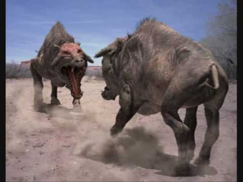 If you're like me, your first exposure to entelodonts was via BBC's Walking with Beasts, which, if a bit outdated, is an excellent entry point for anyone interested in prehistoric mammals. You may have also seen that cursed "Daeodon at the door" meme. *shudder*