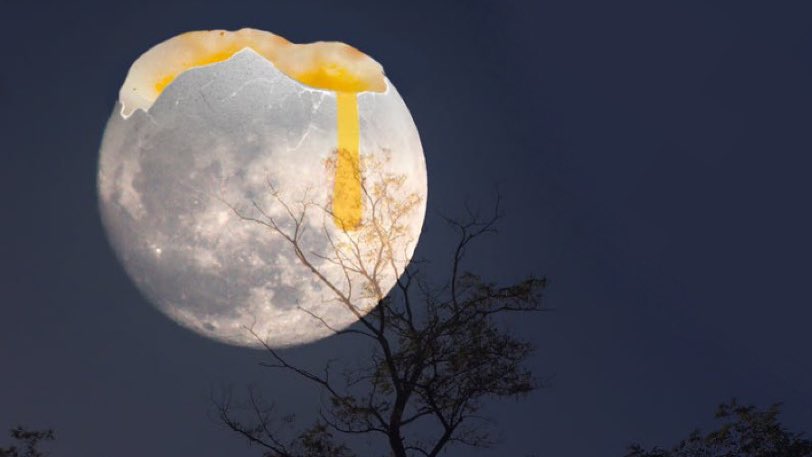 Ironically, in Zulu mythology, the Moon itself is compared to an egg. The Zulu people believe the Moon was brought here many years ago by the water brothers. According to legend, the brothers stole the moon from a dragon, which was actually an egg they emptied out to make hollow.