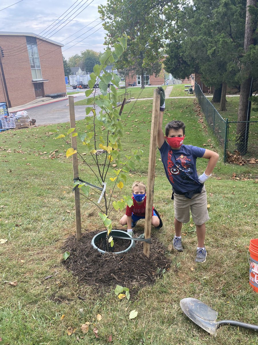 Karen Norton-Smith tweet media