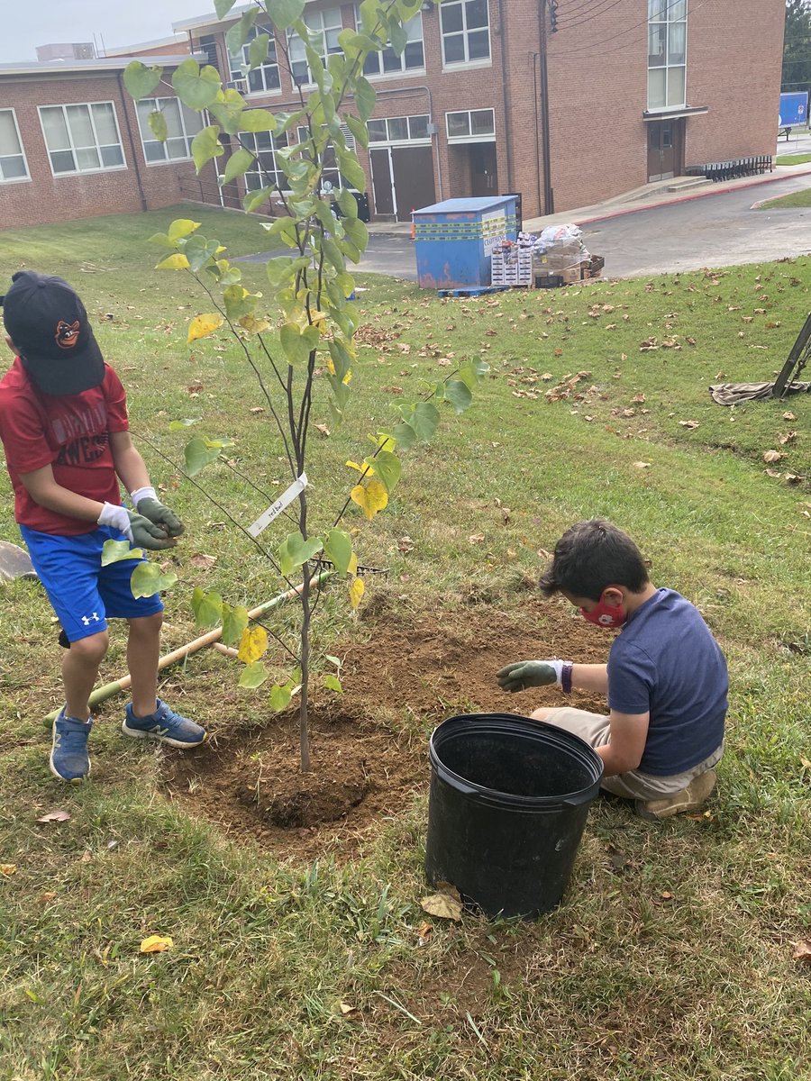 Karen Norton-Smith tweet media