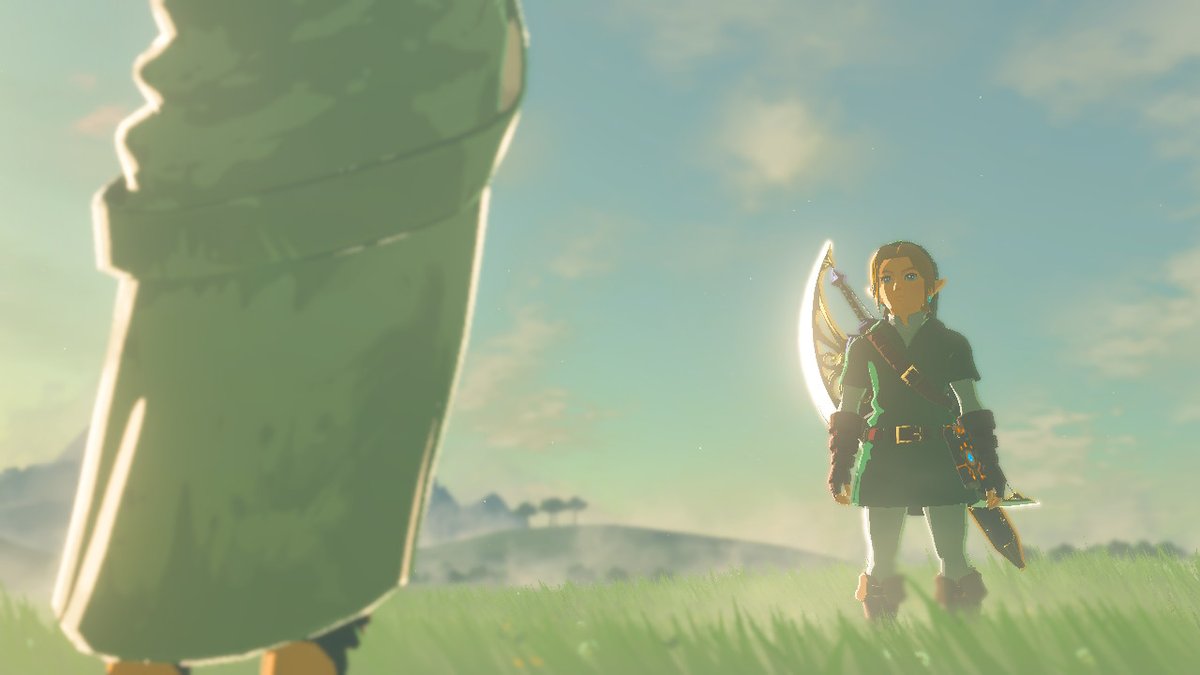 _ElDimas's tweet image. #BreathoftheWild #NintendoSwitch