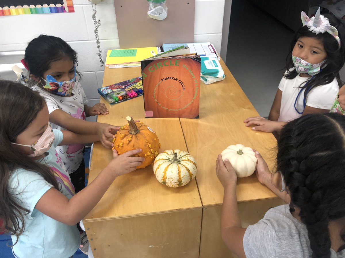 msandoval_15's tweet photo. K students used their senses to describe pumpkins and read about the lifecycle of a pumpkin. Then they counted the seeds by making sets of ten &amp; our 4th graders helped them find the total number of seeds using multiplication and addition. @BurneyElem #Saturdayacademy https://t.co/gbnPSMsrcj