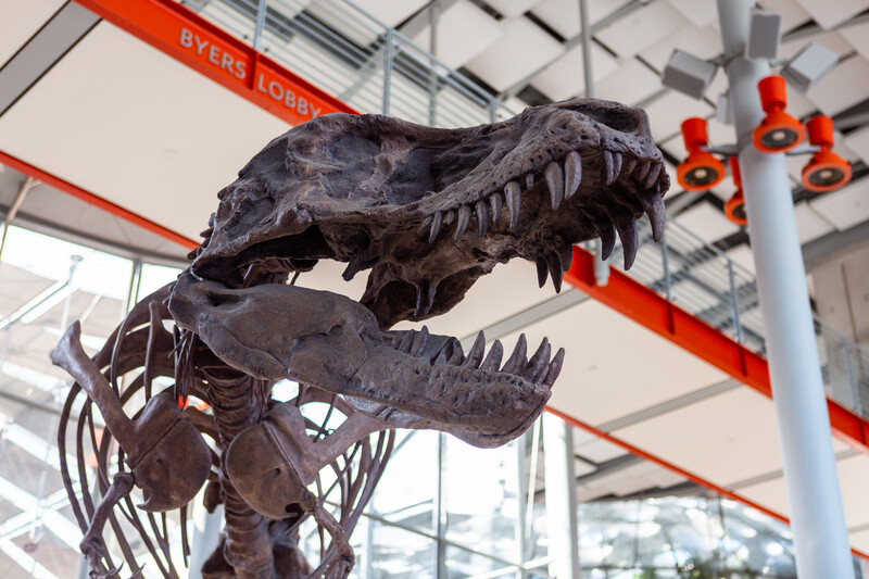calacademy's tweet photo. Just in case you forgot what we look like. 

(Psst: With Oct. 13–22 just for members, there's never been a better time to join. ❤️ Memberships &amp; reopening details at https://t.co/kqR89eUw6L) https://t.co/t1ccgGO8iv