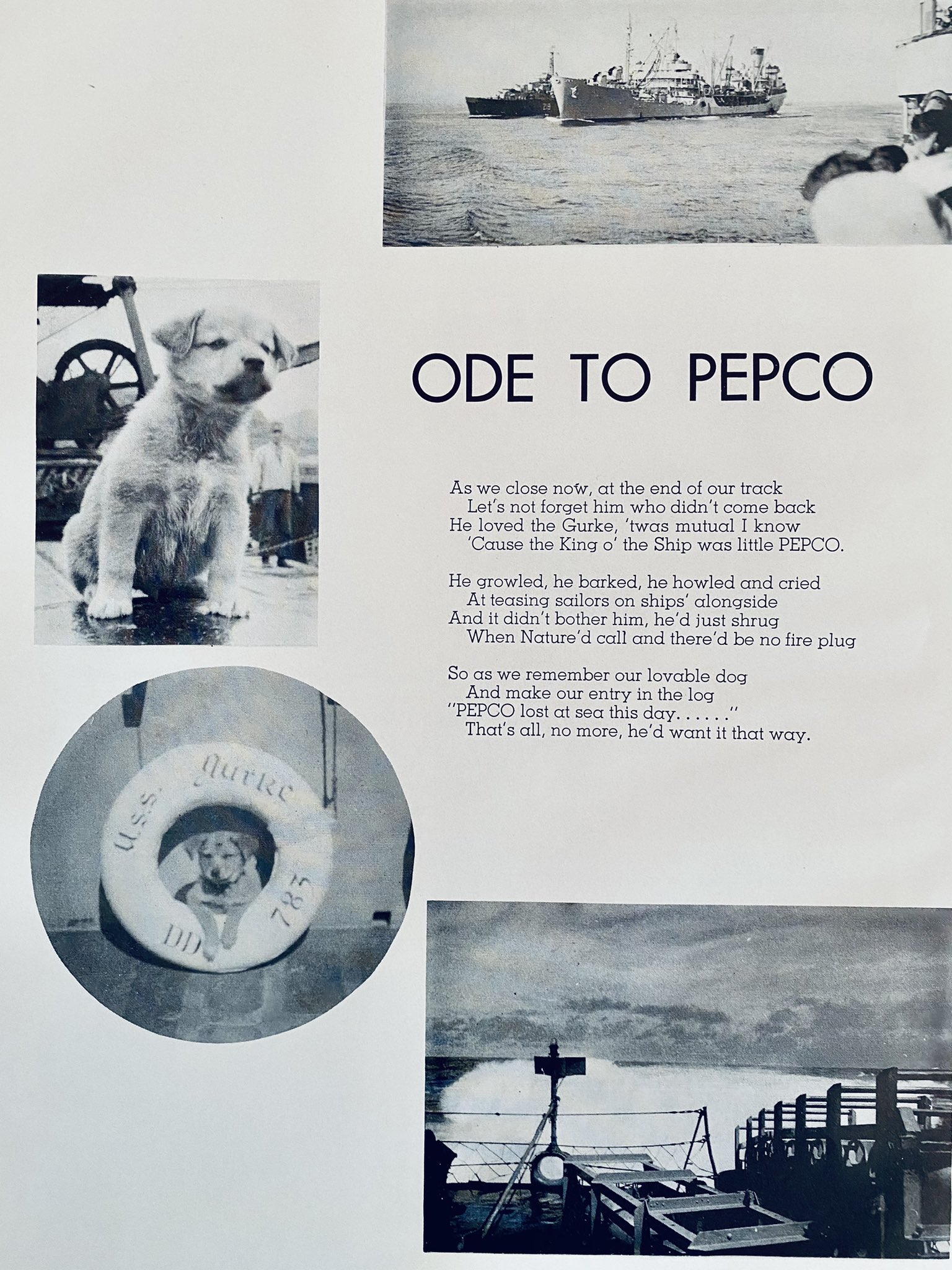 Pepco Twitter Search Twitter