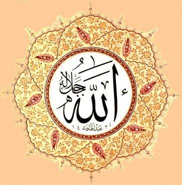 SuccessWithAlim tweet picture