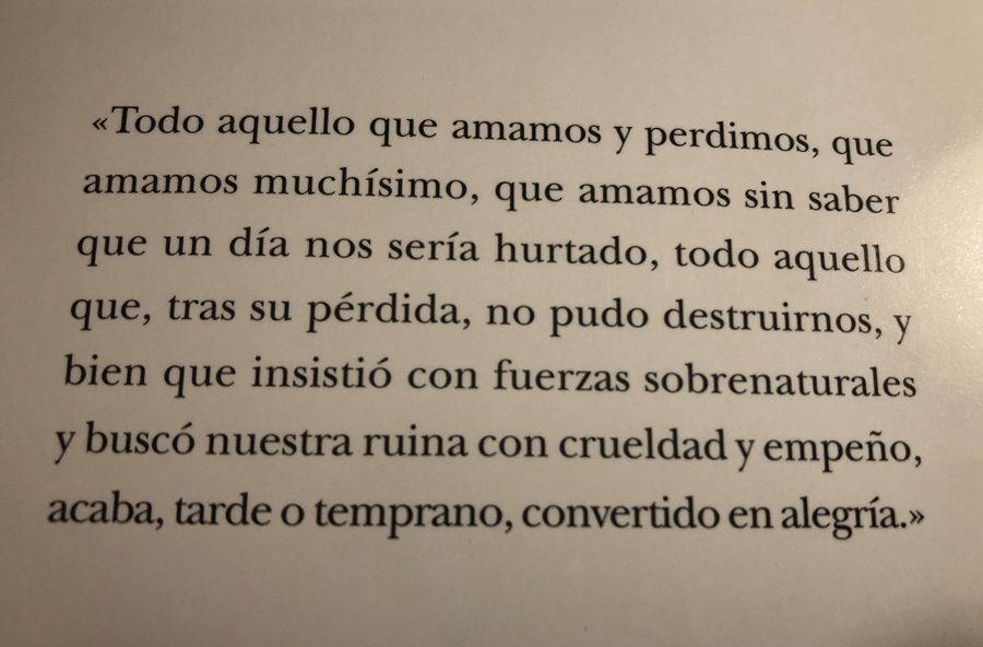 "Alegría", de Manuel Vilas.