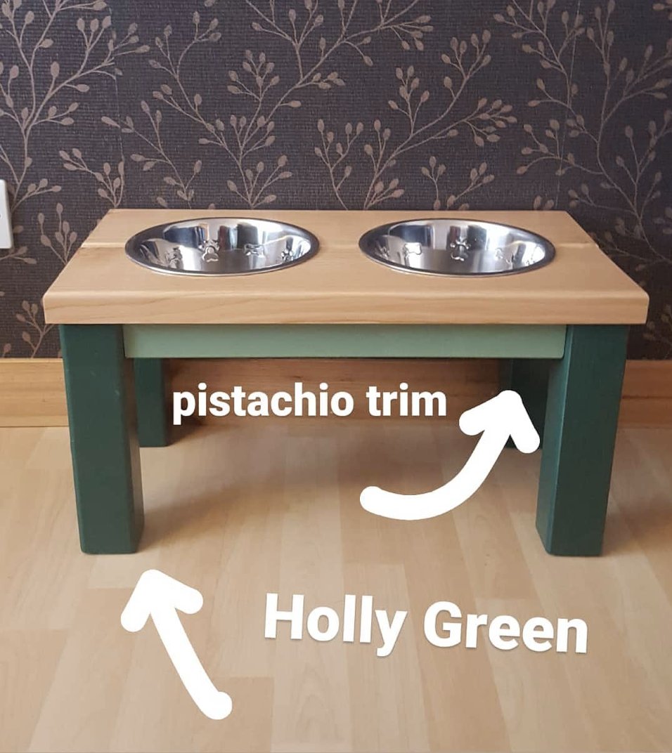 lovehounds7's tweet photo. whats not to LOVE....Pistachio

#Greyhound #houndsoftwitter #greyhoundsoftwitter #sighthound #Lurchers #raisedstandfdordogs #handmadeinscotland #shoplocal #SmallBusiness https://t.co/u340JYbW55