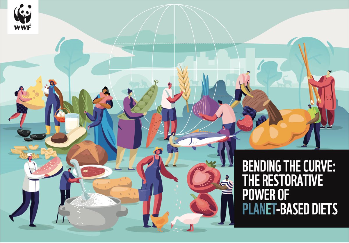 Brent Loken (@brentloken) on Twitter photo Lots of incredible ideas <a href="/TEDCountdown/">TEDCountdown</a> on how each one of us can be part of the change. One of the most powerful actions you can take is to shift your diet to a more planet friendly diet. The power is on your plate! #Countdown #JoinTheCountdown #EATPlanetBased Lots of incredible ideas <a href="/TEDCountdown/">TEDCountdown</a> on how each one of us can be part of the change. One of the most powerful actions you can take is to shift your diet to a more planet friendly diet. The power is on your plate! #Countdown #JoinTheCountdown #EATPlanetBased