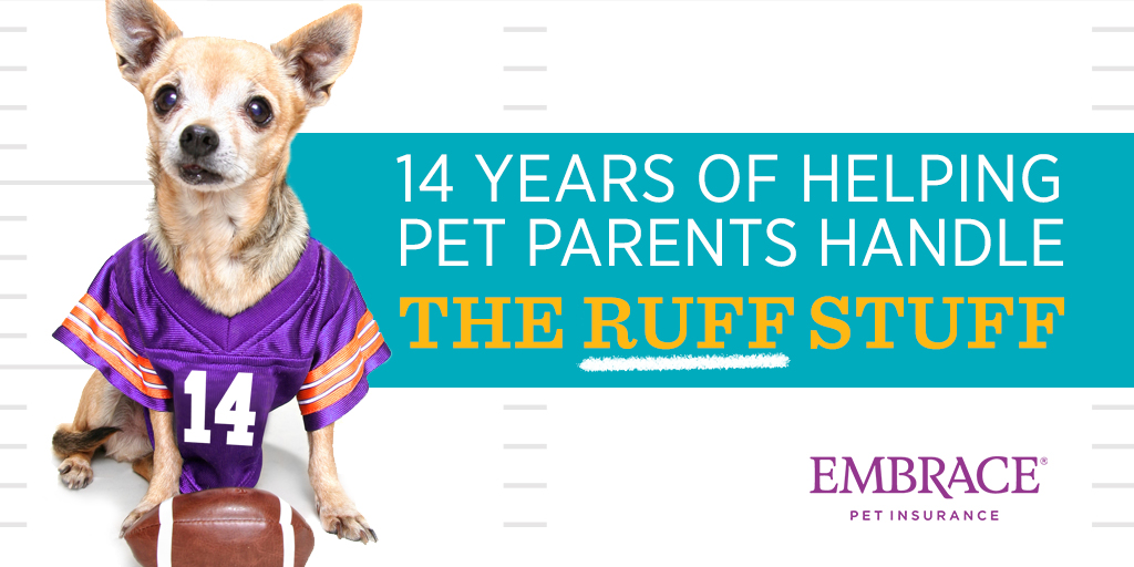 It's our 14th anniversary today! Thank you to our Embracers, Embraced pets, and pet parents for being part of our huddle, and trusting us to be there when things get 'ruff.' 💜🐾 #EmbraceYourPets 

#PetInsurance #AnimalLovers #PetsOfTwitter #Football #FootballSaturday #GameDay