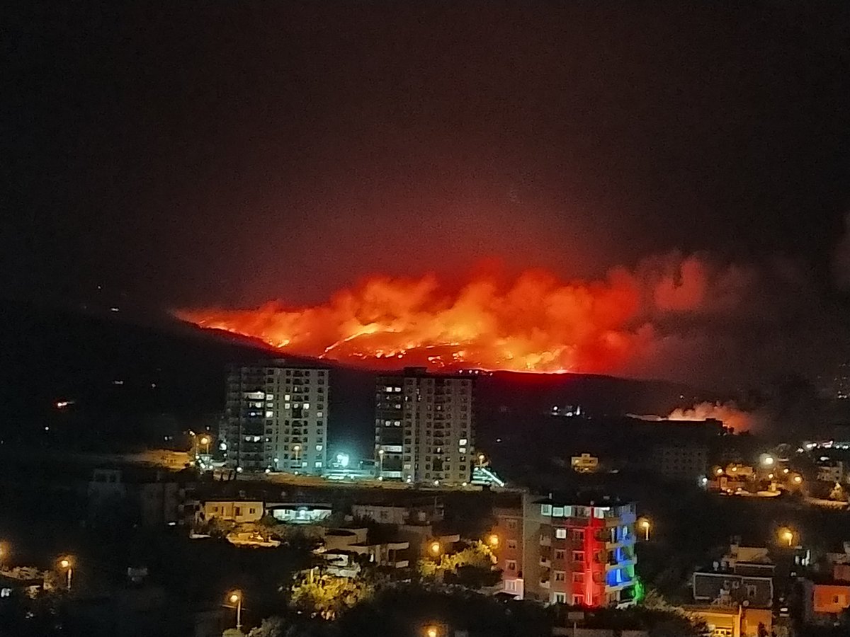 Caniliğin fotoğrafı.Ağaca,hayvana,insana kasttır bu. Doğanın en büyük katili insanoglu.Yazıkk..