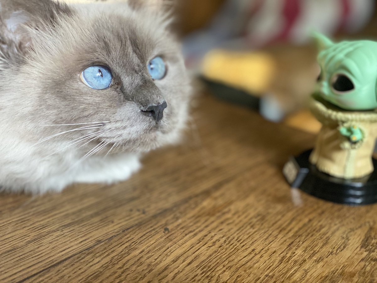 😂😂😂😂😂🥰🥰🥰😷😷😷