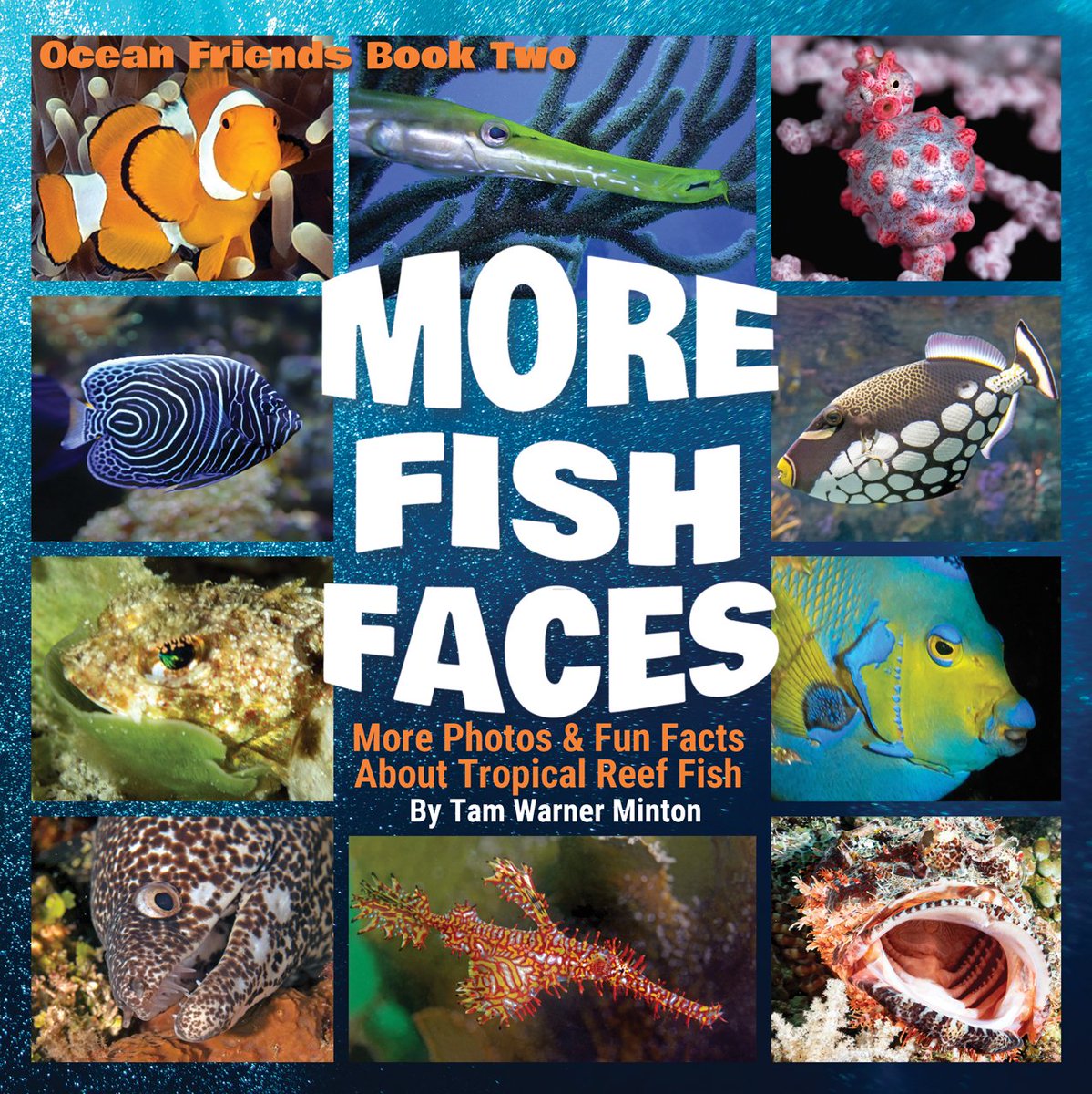 TravelwithTam's tweet photo. Check out #MOREFISHFACES on #SCBWIBookStop https://t.co/3jQ2GUZJO1… @SCBWINorthTexas #elementarylibrarians #teachers #science #elementary #books #newrelease #newkidsseries #NewKidsBooks #childrensnonfiction #marinescience #scienceforkids #oceanscience #fish @SciCoachOv https://t.co/ZslN08q40T