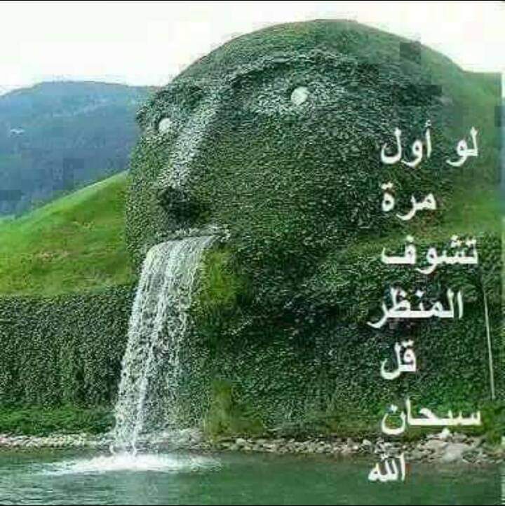 سبحان من خلق فأبدع